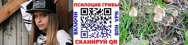 цена   Светлоград  Псилоцибиновые грибы MAGIC MUSHROOMS 